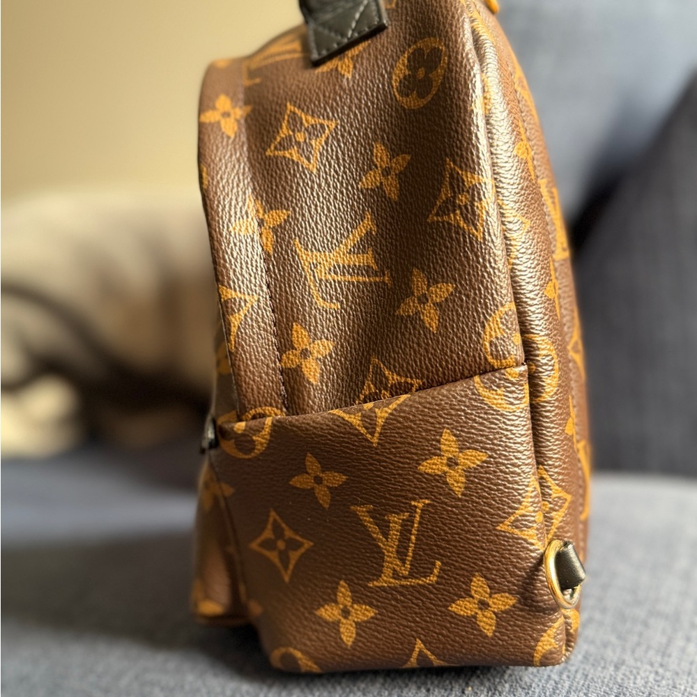 Louis Vuitton Monogram Mini Palm Spring Backpack - Picture 2 of 16